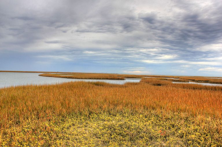 1024px Gfp texas galveston island state park winding bay 768x507
