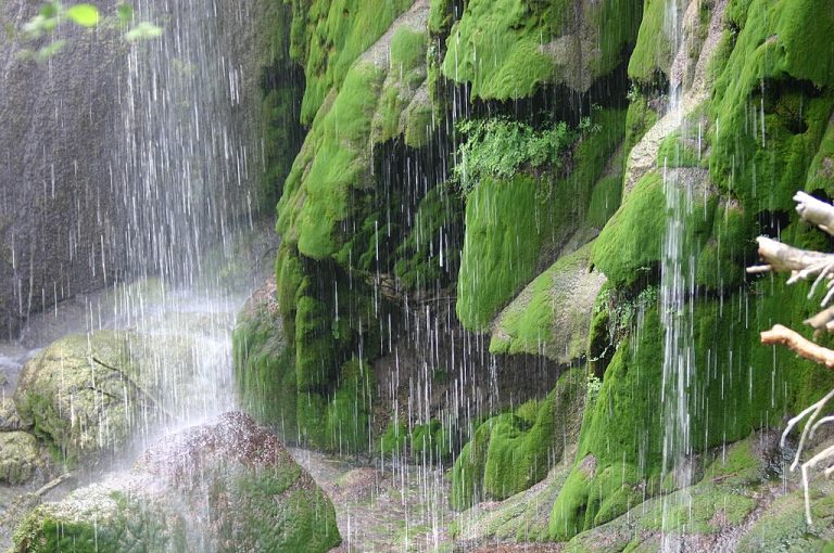 Base of Gorman Fall like Raining 768x510