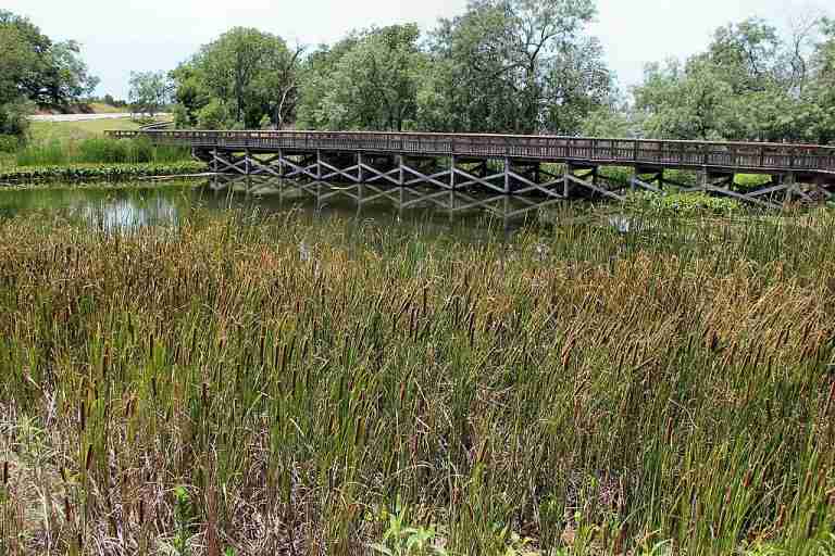 Cedar hill state park perch pond 768x512