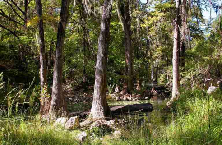 Honey Creek State Natural Area