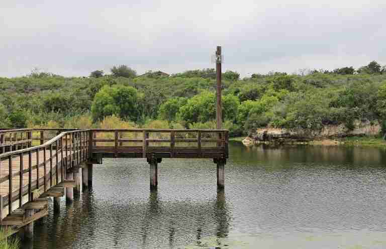 Lake Corpus Christi State Park