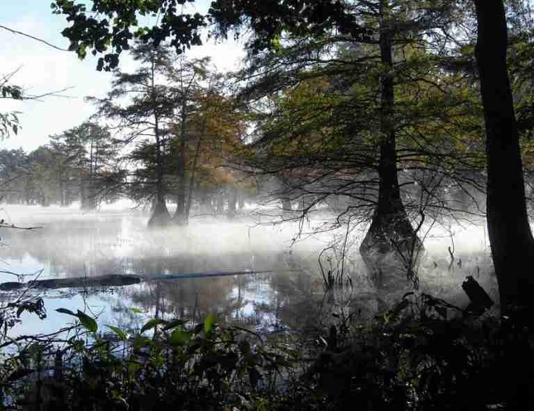 Martin Dies, Jr. State Park