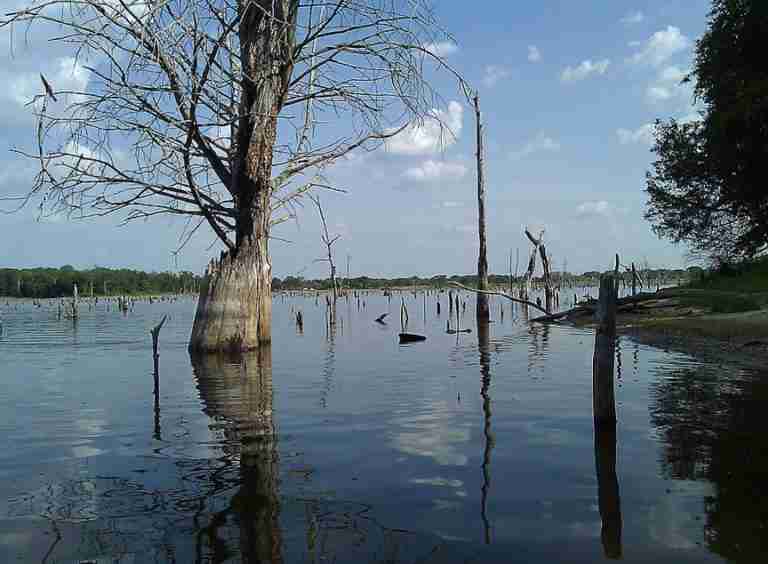 Purtis Creek State Park