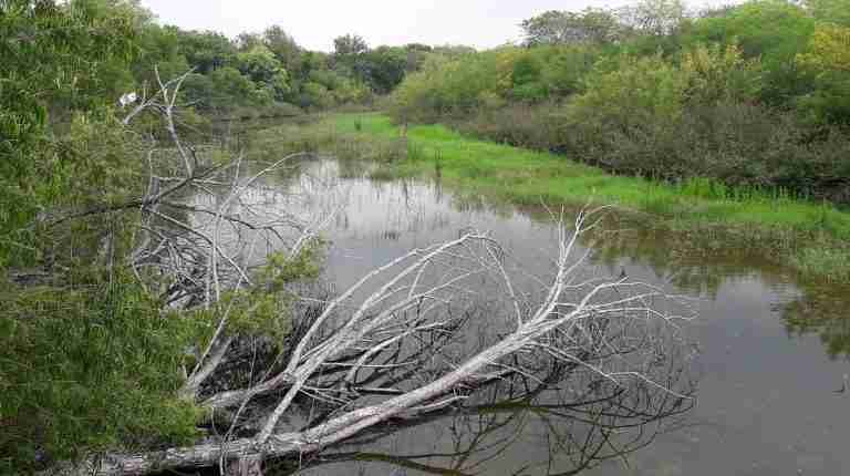 Resaca de la Palma State Park