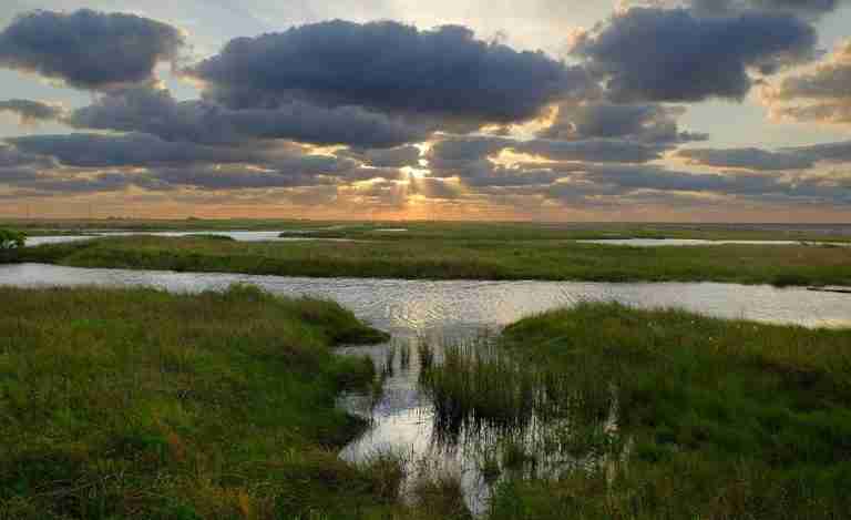 Sea Rim State Park
