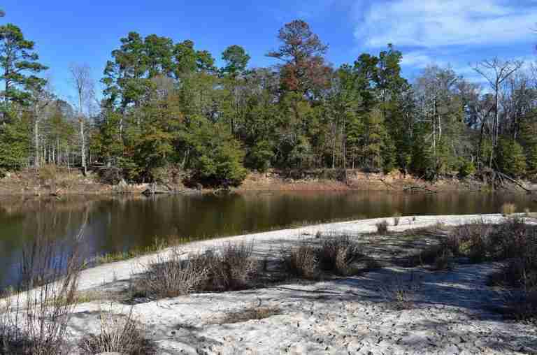 Village Creek State Park