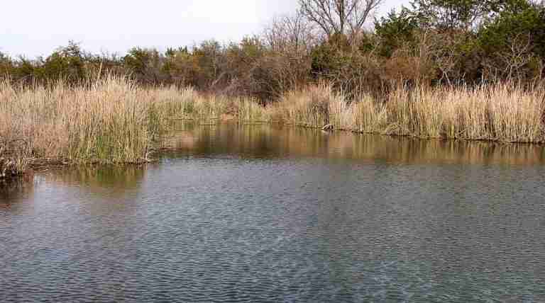 Buffalo Wallow