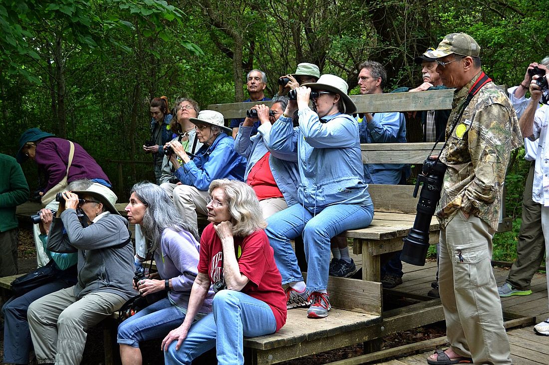 A Haven for Birdwatchers