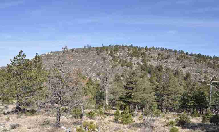 Bush Mountain