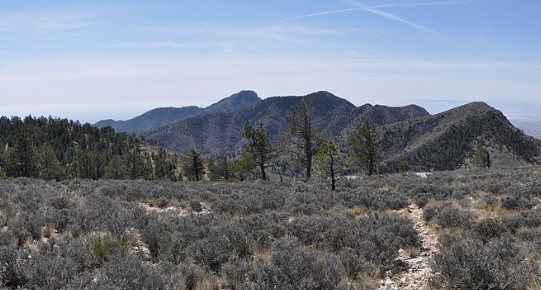 Bush Mountain