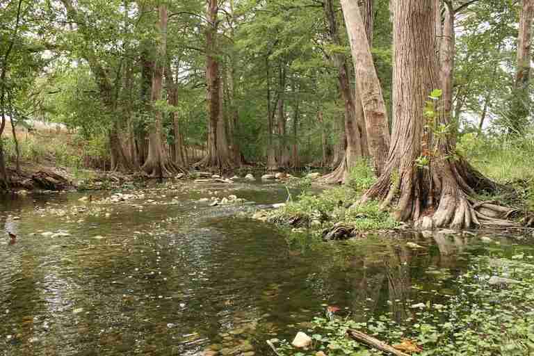 Cibolo Creek at Cibolo Nature Center 768x512