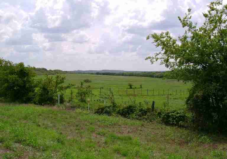 Cross Timbers Trail