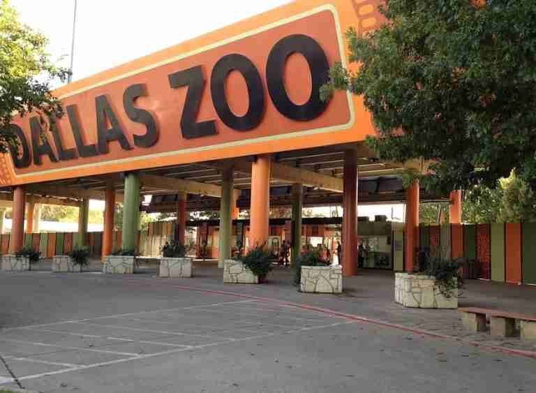 DallasZoo