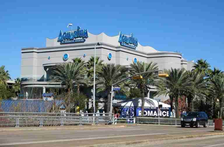 Downtown Aquarium