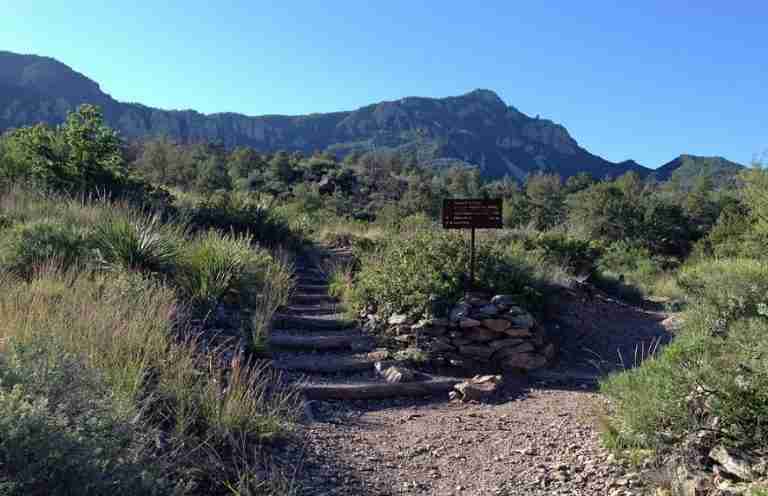 Emory Peak