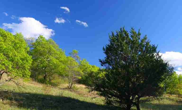 LBJ Grasslands Orange Trail