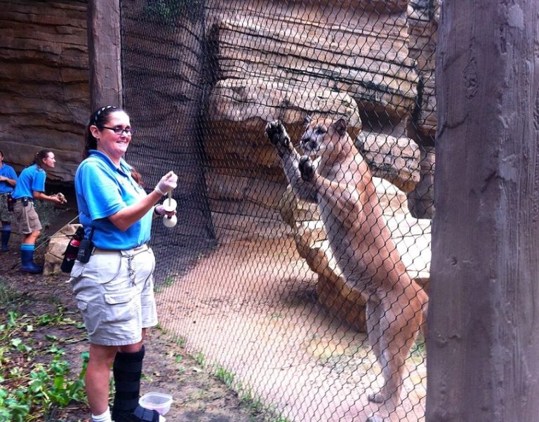 Houston Zoo trainer 768x601