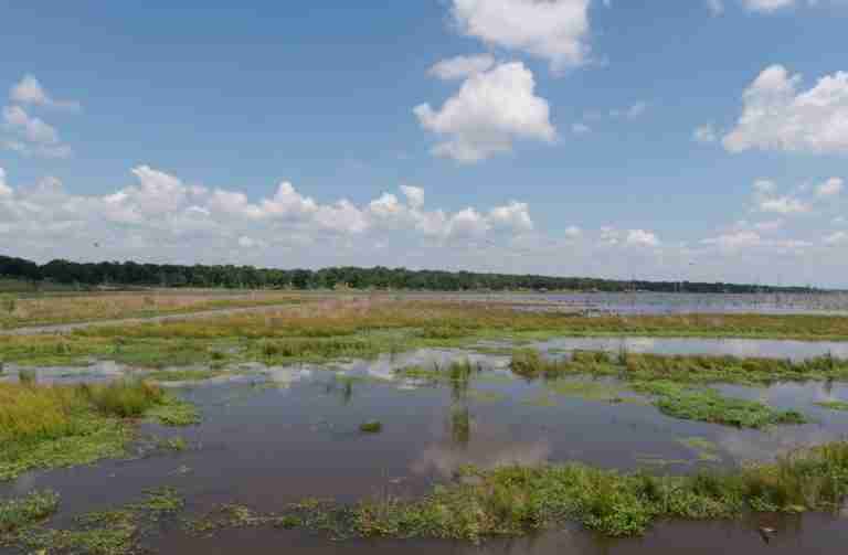 Lake Fork Reservoir 768x503