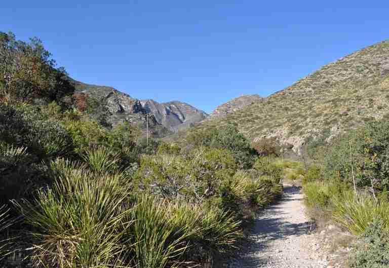 McKittrick Canyon Trail 768x529