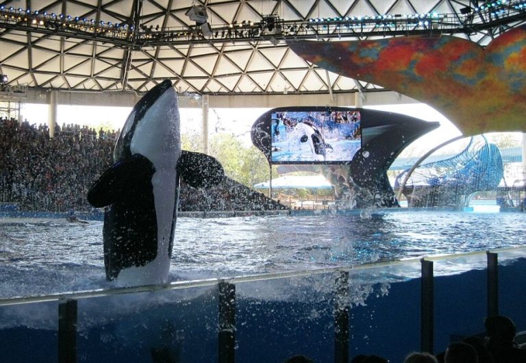 Sea World in San Antonio Sea World in San Antonio