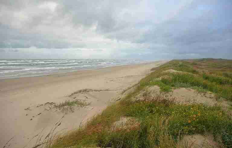 Padre Island National Seashore