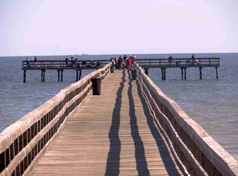 Pine Gully Park