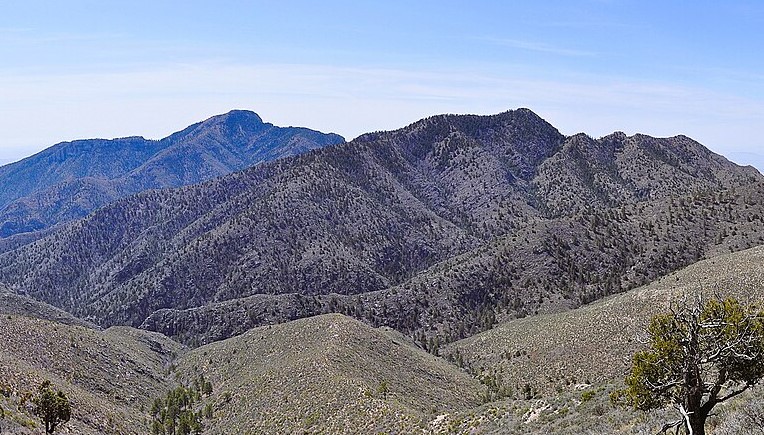 Bush Mountain Trail Bush Mountain Trail