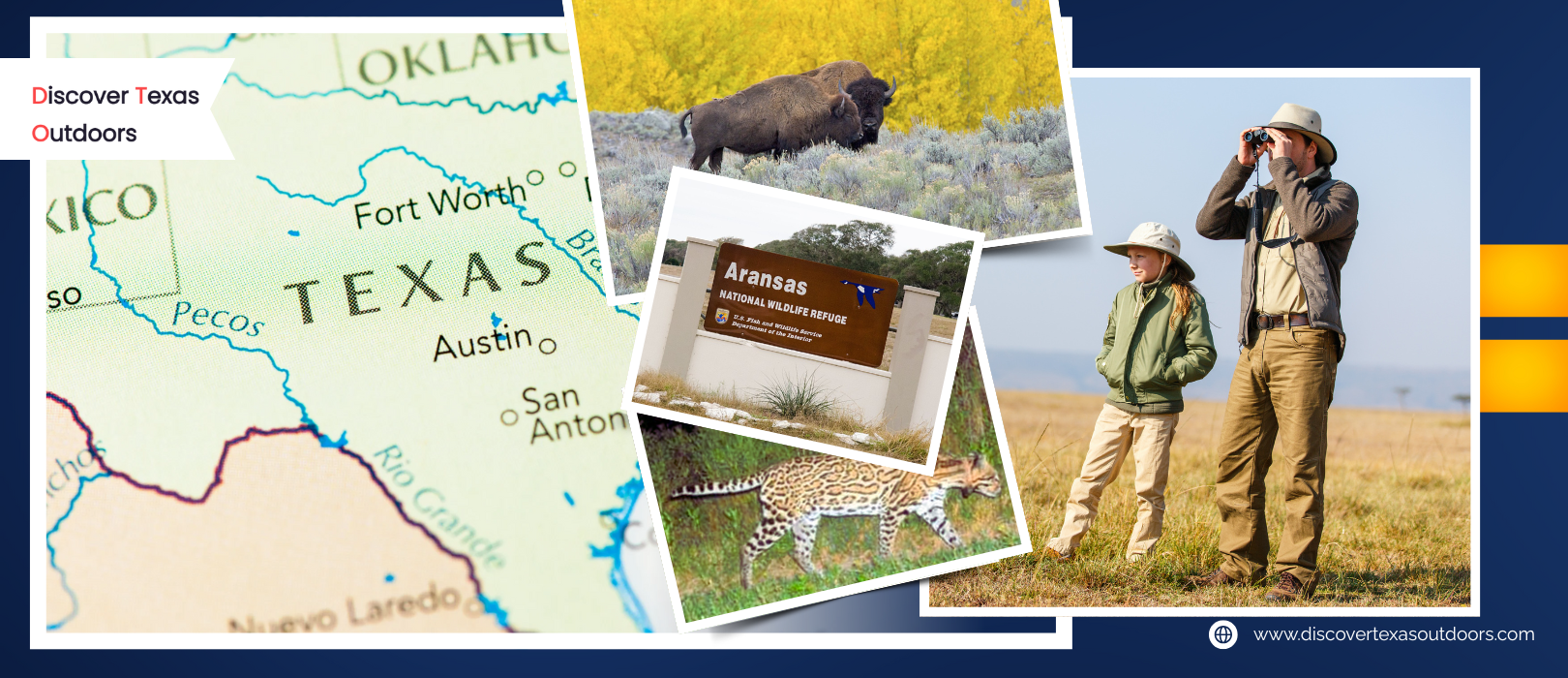 Texas Wildlife Watching: Where to See Birds, Bison, and More