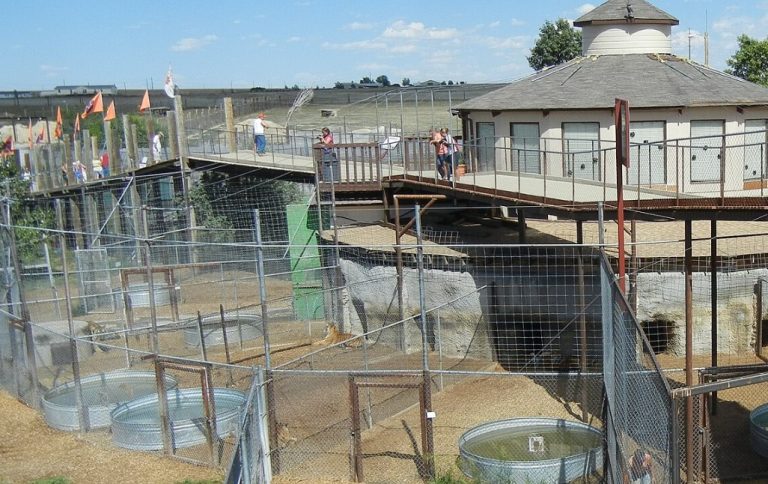 The Wild Animal Sanctuary 768x484