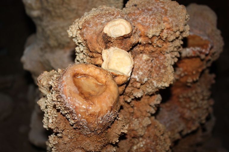 This is a photo of a calcite formation 768x512