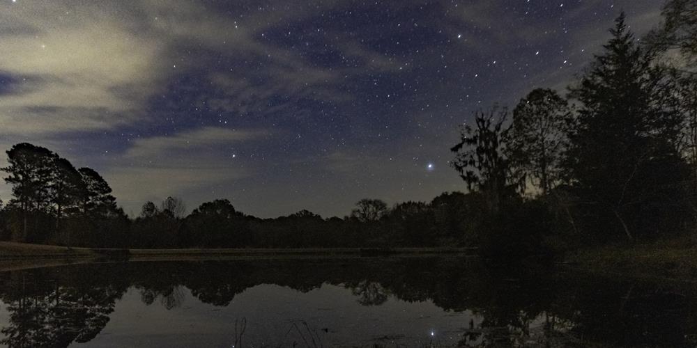 Brazos Bend State Park