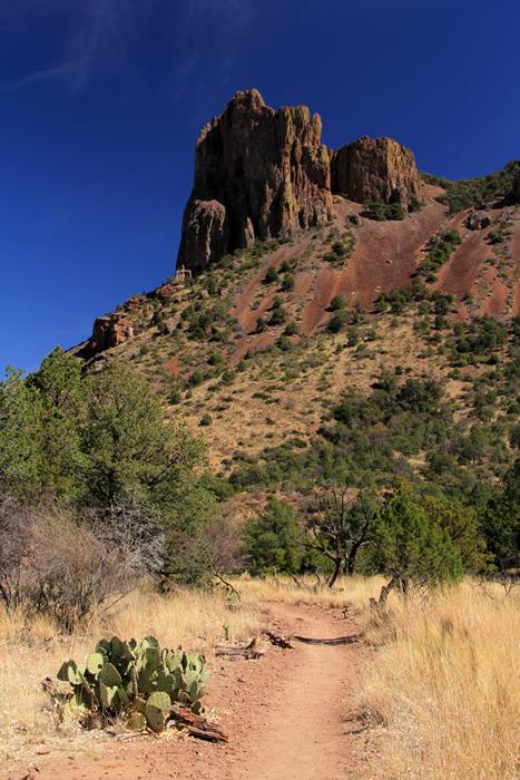 Emory Peak: A Scenic Journey in Big Bend