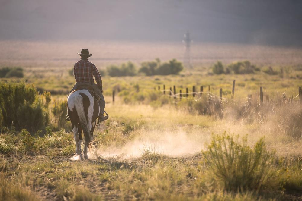 Exploring Texas' Scenic Horseback Trails