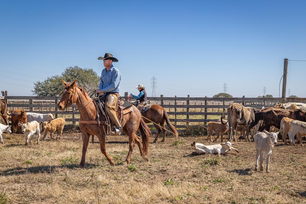 Top-Rated Horseback Riding Tours in Texas