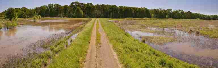 Alazan Bayou Wildlife Management Area 768x242