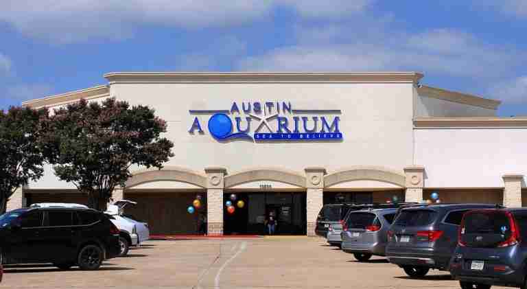 Austin Aquarium