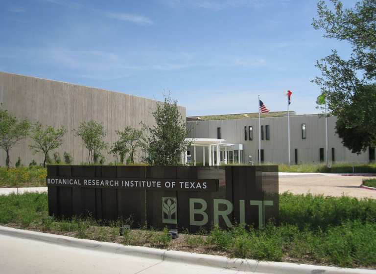 The Botanical Research Institute of Texas (BRIT)