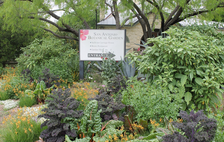 San Antonio Botanical Garden San Antonio Botanical Garden