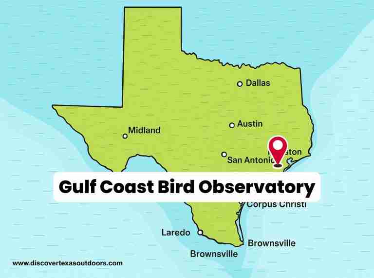 Gulf Coast Bird Observatory 768x570