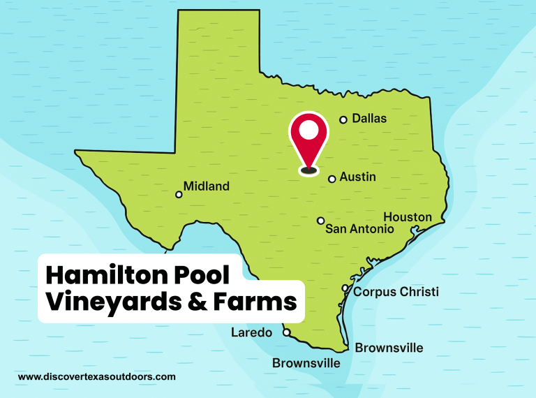 Hamilton Pool Vineyards & Farms