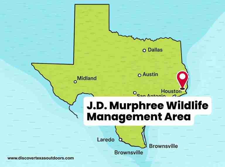 J.D. Murphree Wildlife Management Area 768x570