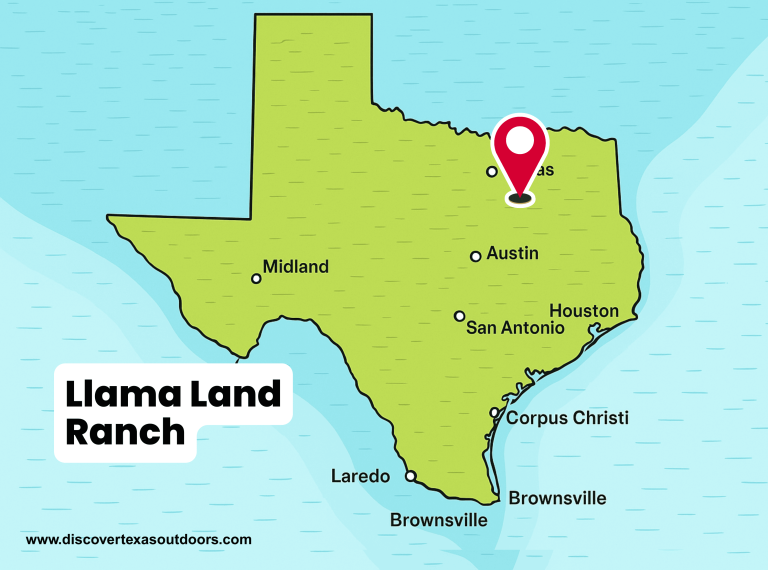 Llama Land Ranch