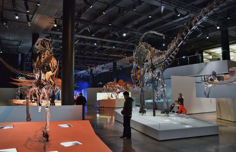 Houston Museum of Natural Science Houston Museum of Natural Science