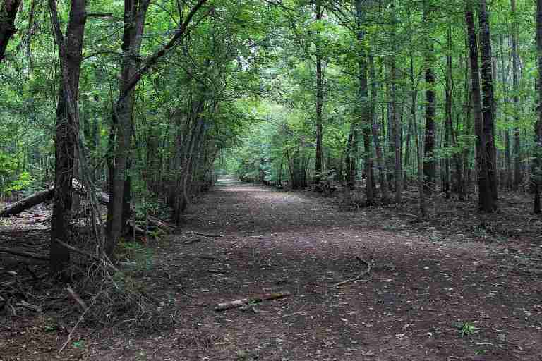 Neches River National Wildlife Refuge 768x512
