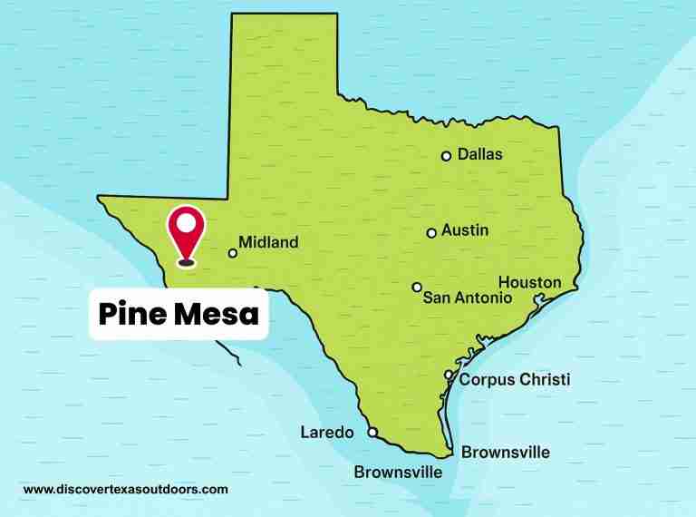 Pine Mesa 768x570