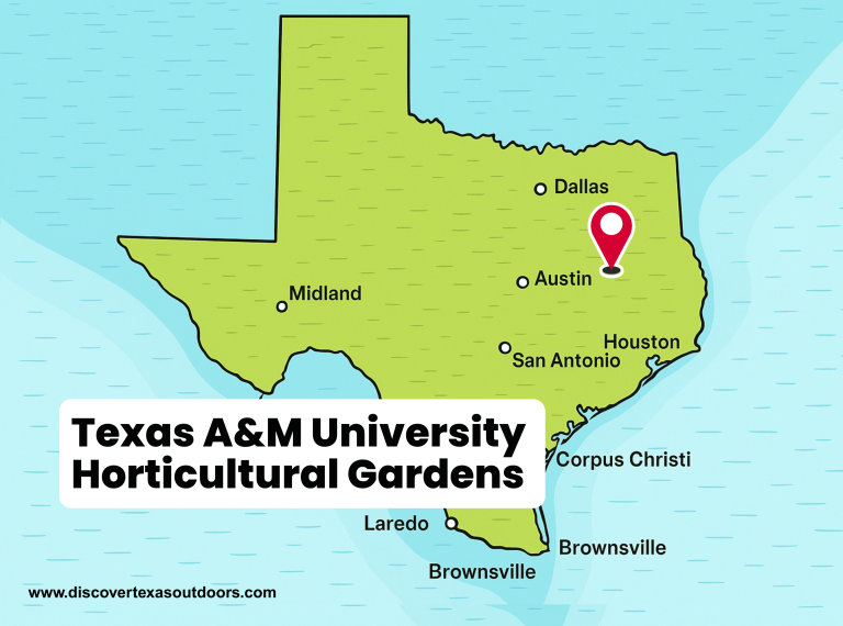 Texas A&M University Horticultural Gardens