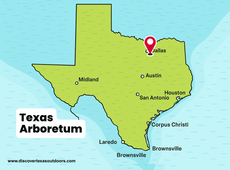 The Texas Arboretum 768x570