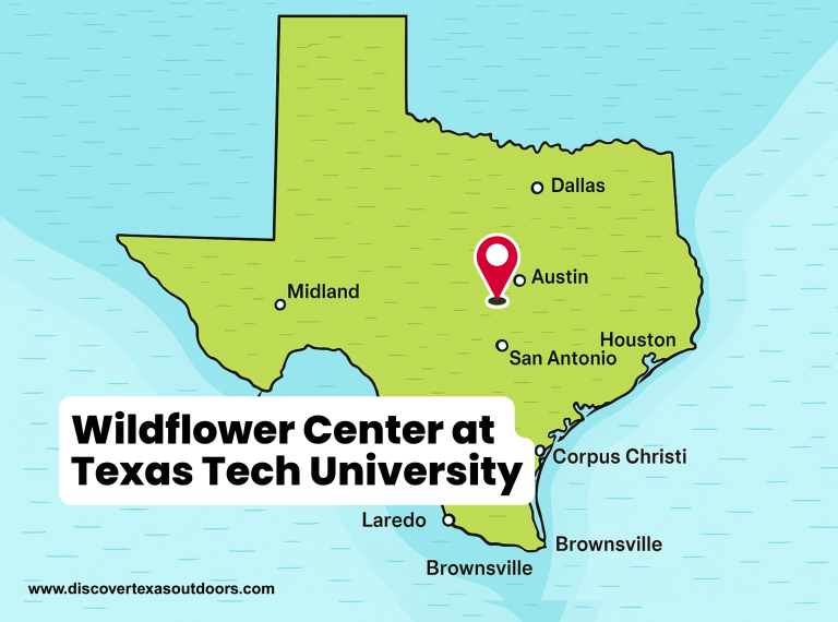 The Wildflower Center at Texas Tech University 768x570