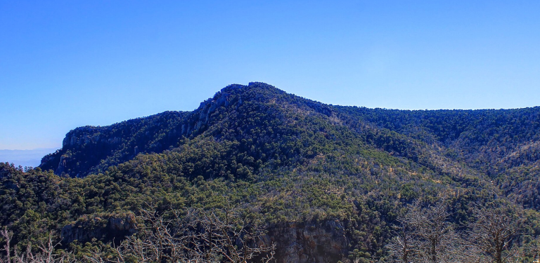 Townsend Point