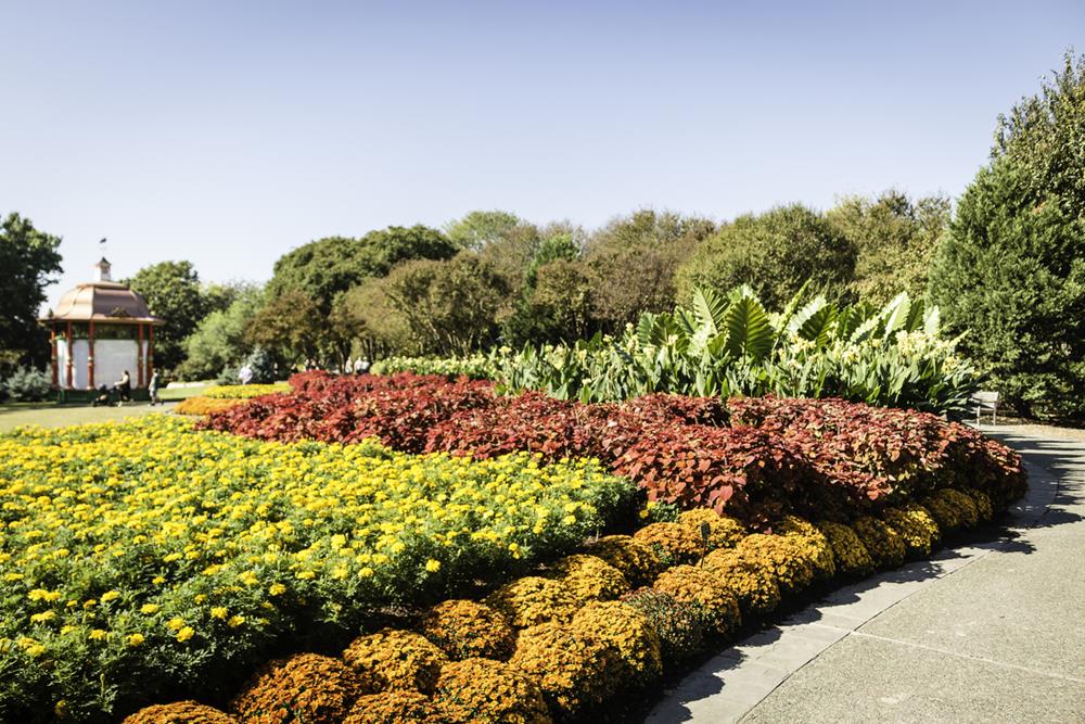 Gardens and Plant Collections